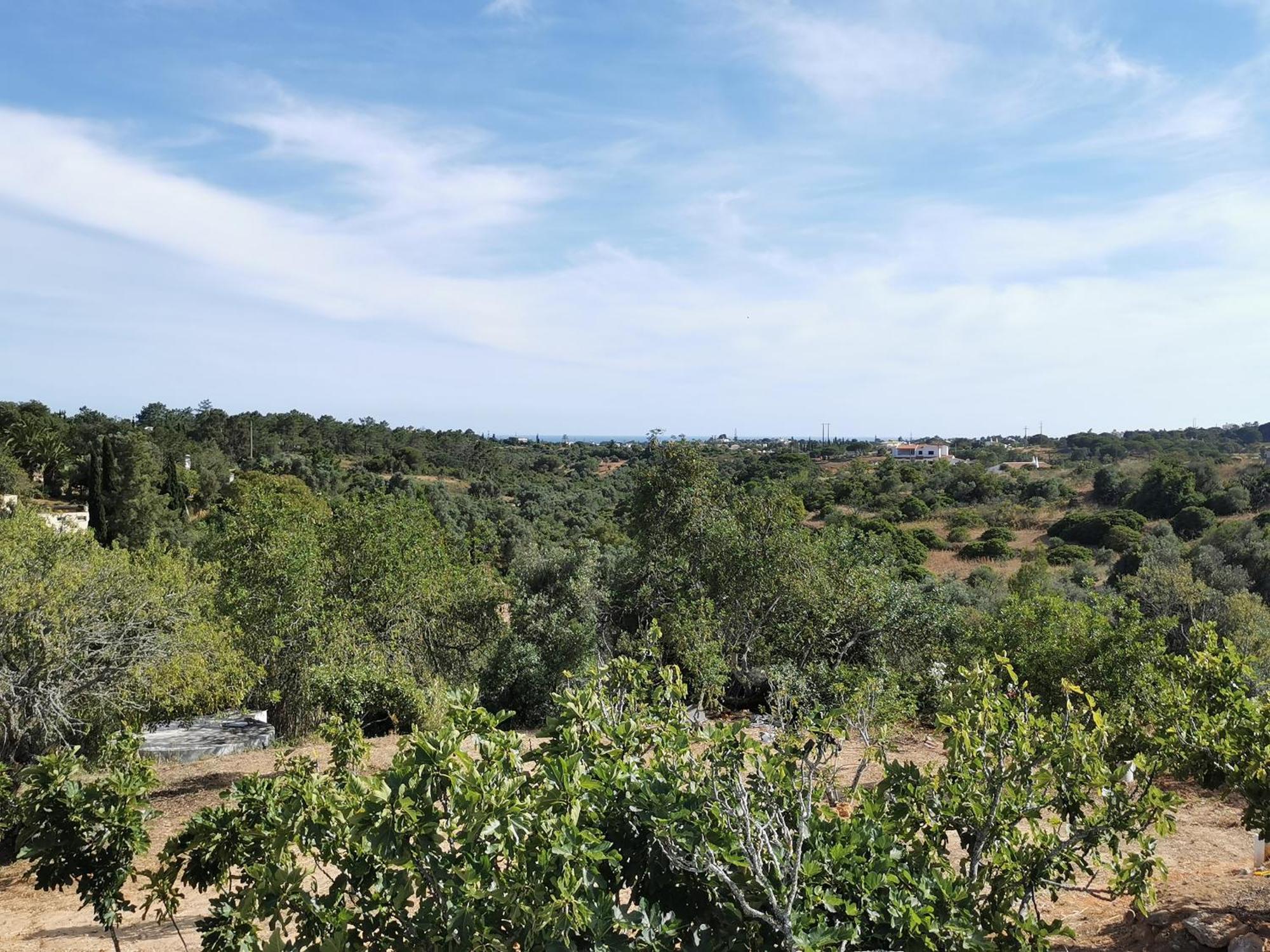 הוילה לגואה Beguest Casas De Taipa מראה חיצוני תמונה